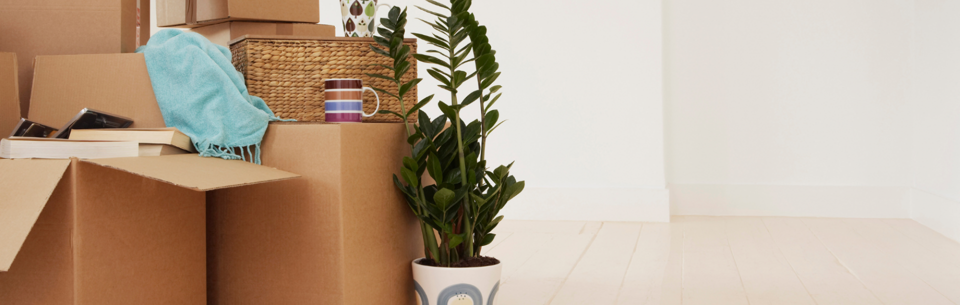 מדריך - איך מגישים בקשה למעונות?