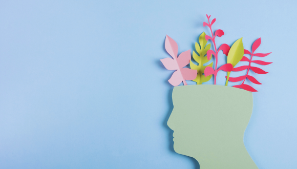 מי מפחד ממחלות נפש?